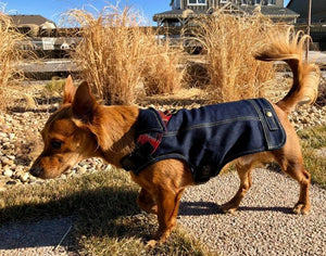 Boulder Denim Dog Jacket