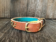 Leather Dog Collar Swirl - Antique Brass Finish - Tan Leather