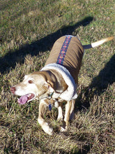 Sundance Shearling Dog Jacket