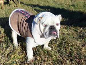 Sundance Shearling Dog Jacket