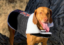 Sundance Shearling Dog Jacket - in Black